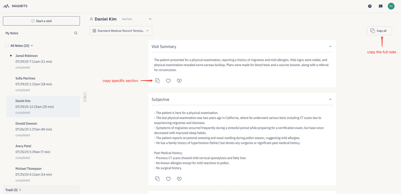 Magibits login interface